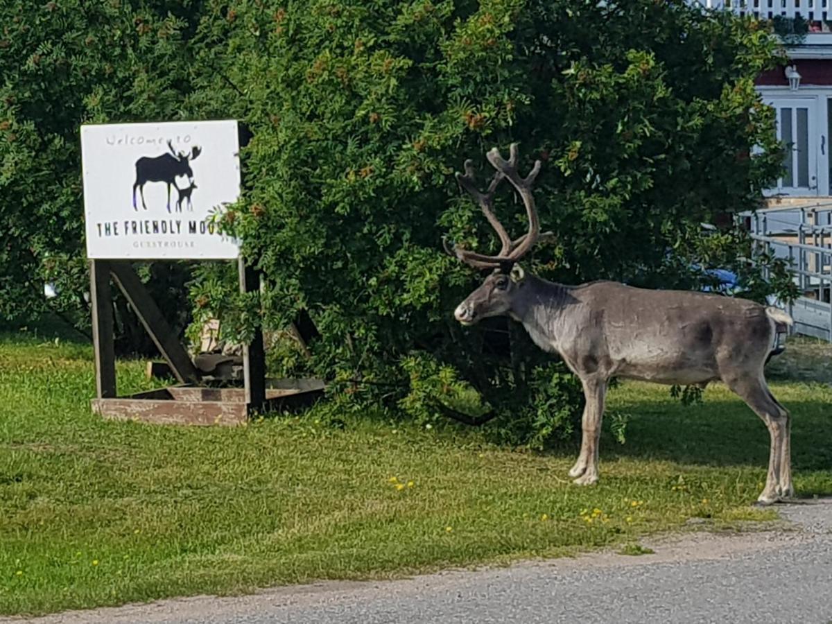 The Friendly Moose Hotel Overtornea Kültér fotó