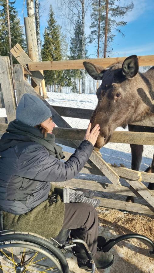 The Friendly Moose Hotel Overtornea Kültér fotó